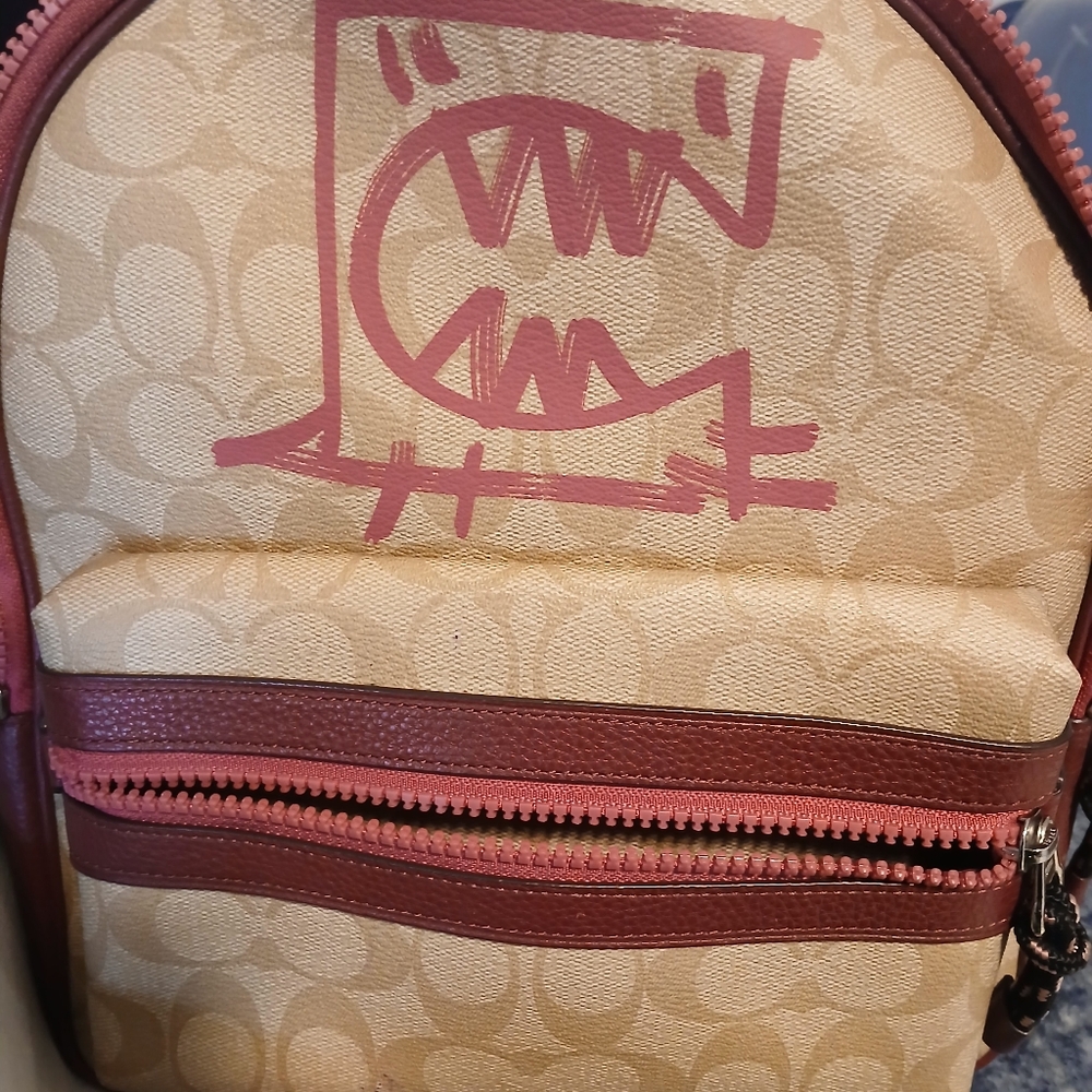 Coach Tan and Pink Women's Bag